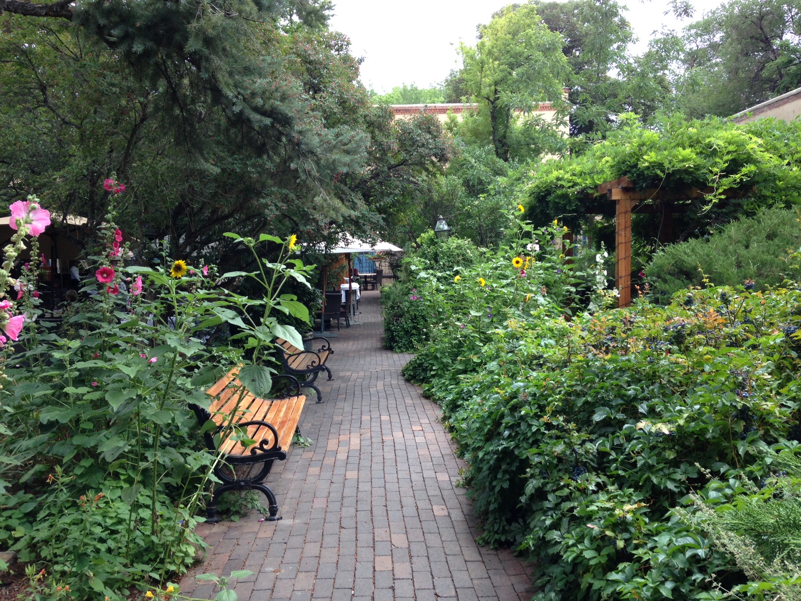 Shopping courtyard garden