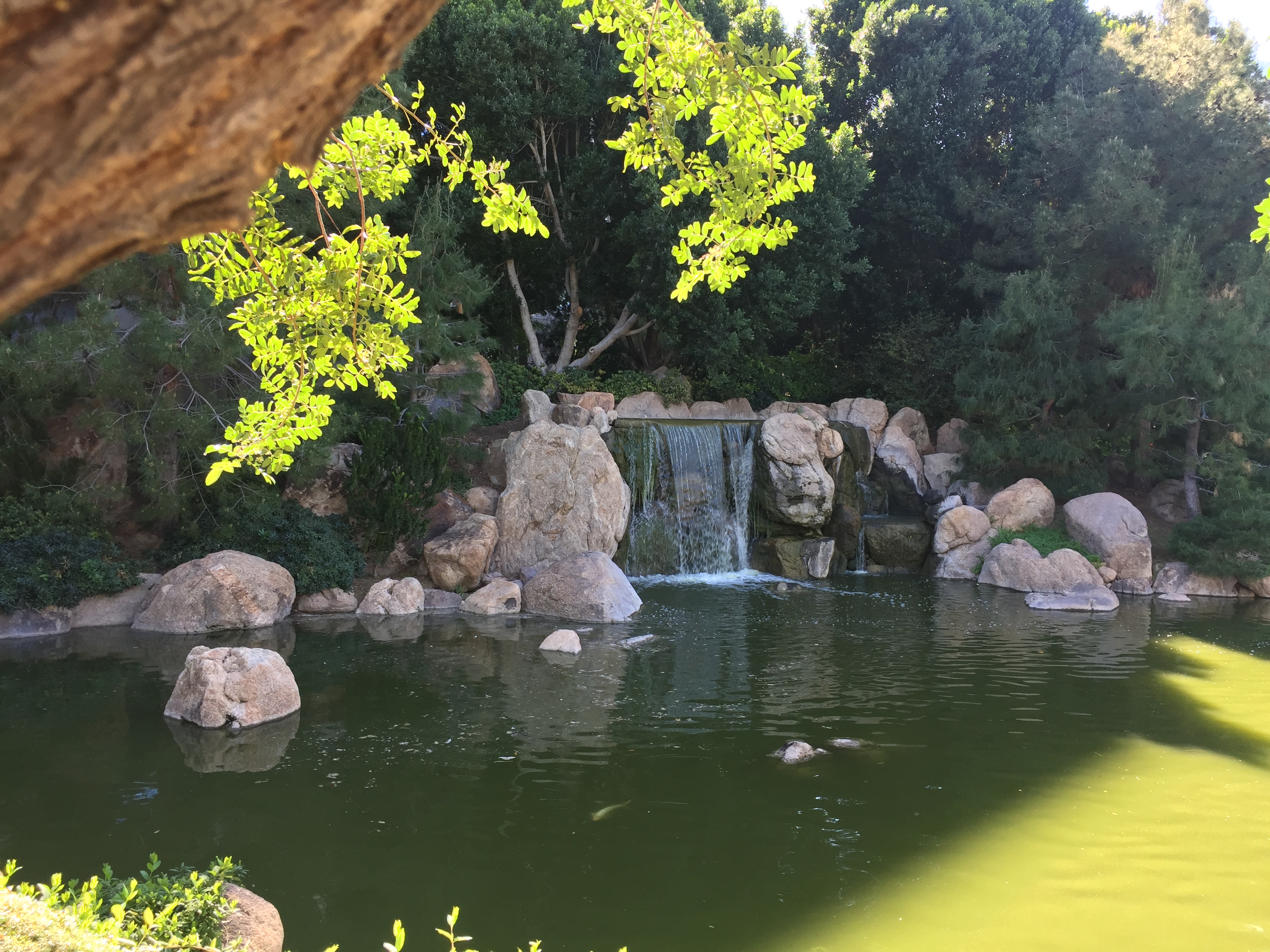 Waterfall at Japanese Friendship Garden in Phoenix, AZ
