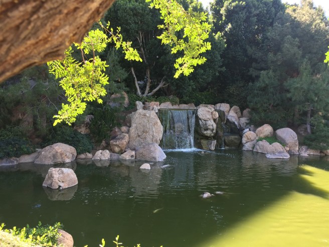 Waterfall at Japanese Friendship Garden in Phoenix, AZ