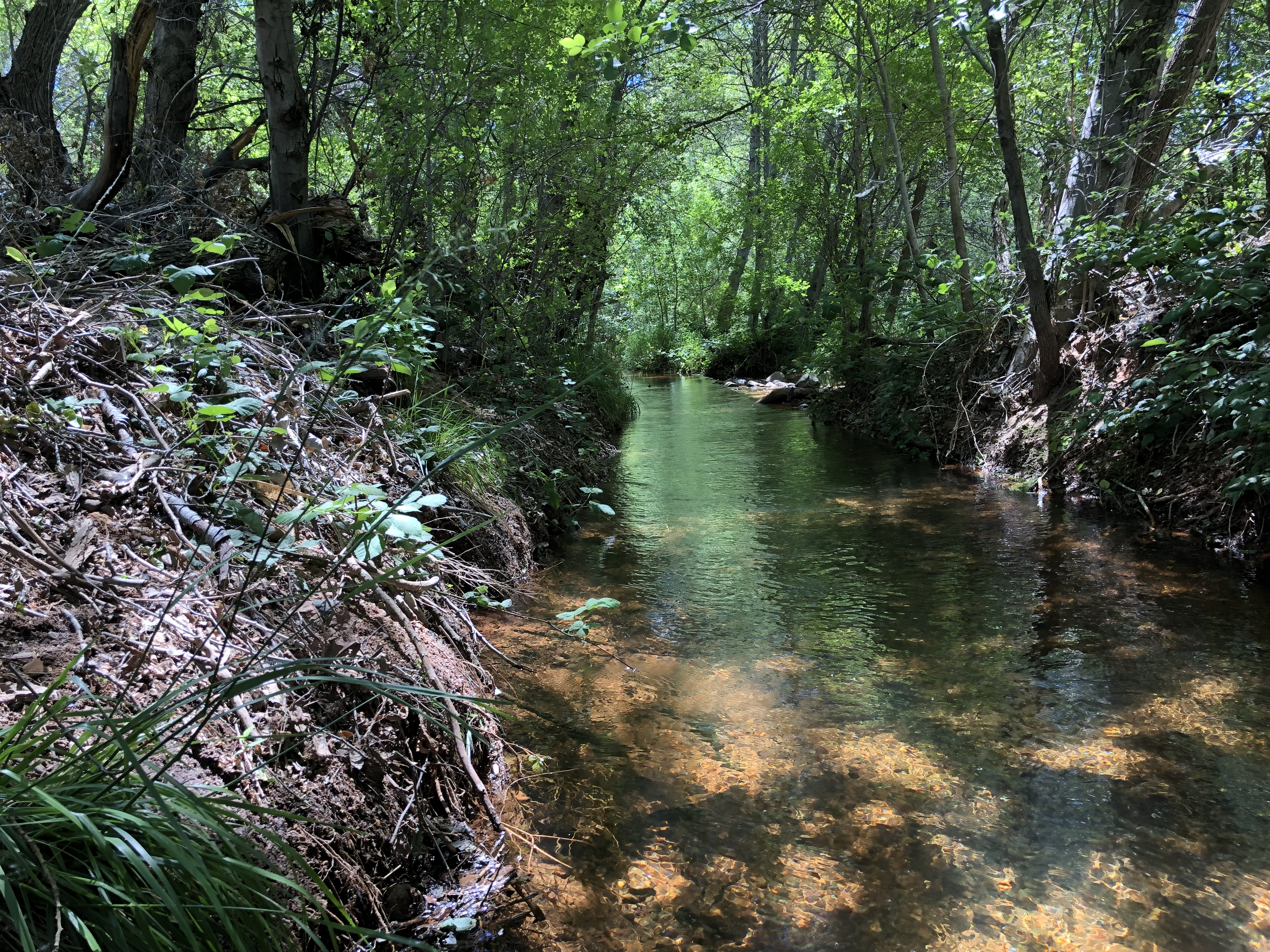 Crescent Moon Picnic Area and Ranch