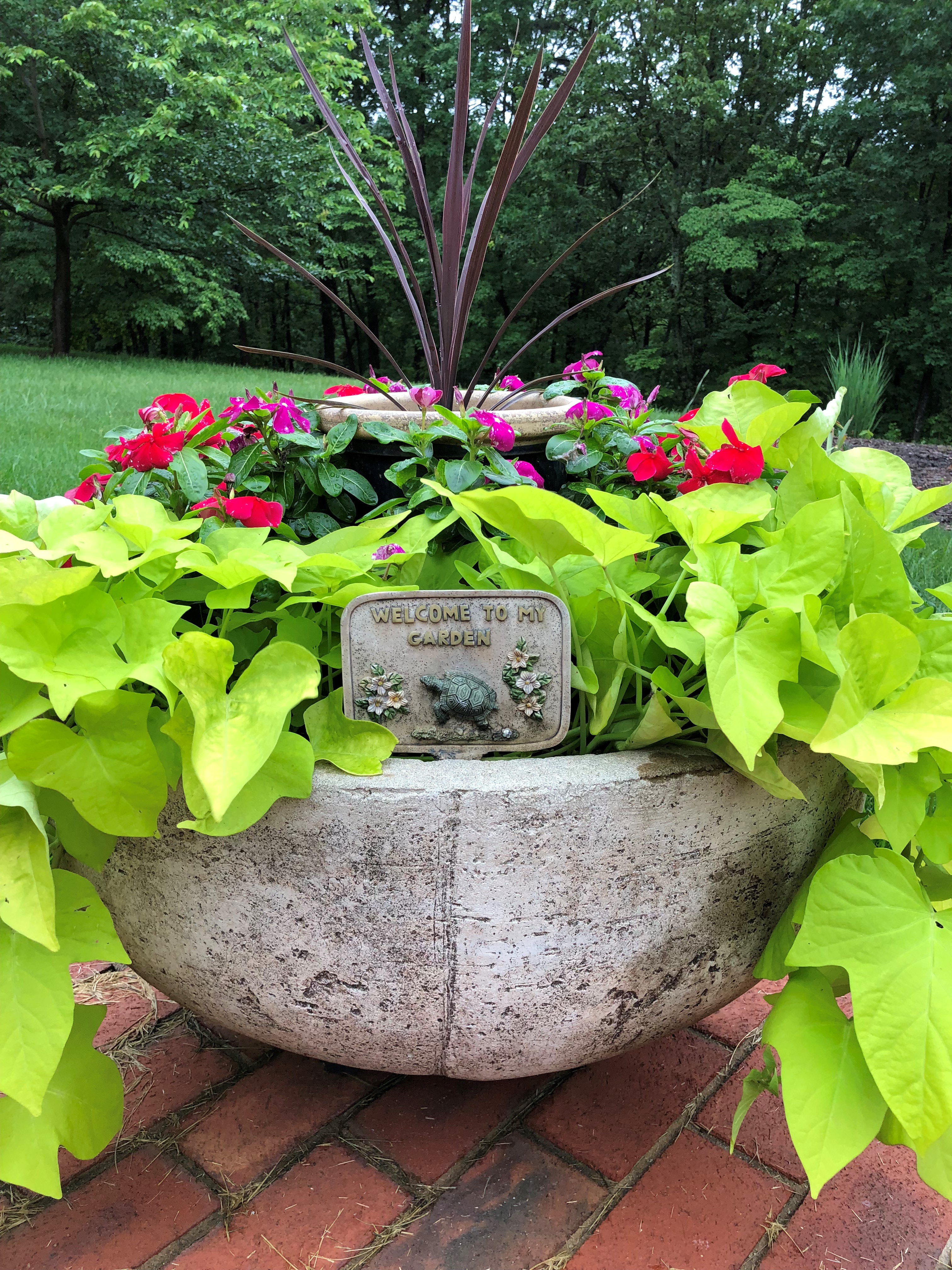 Stacked container planting