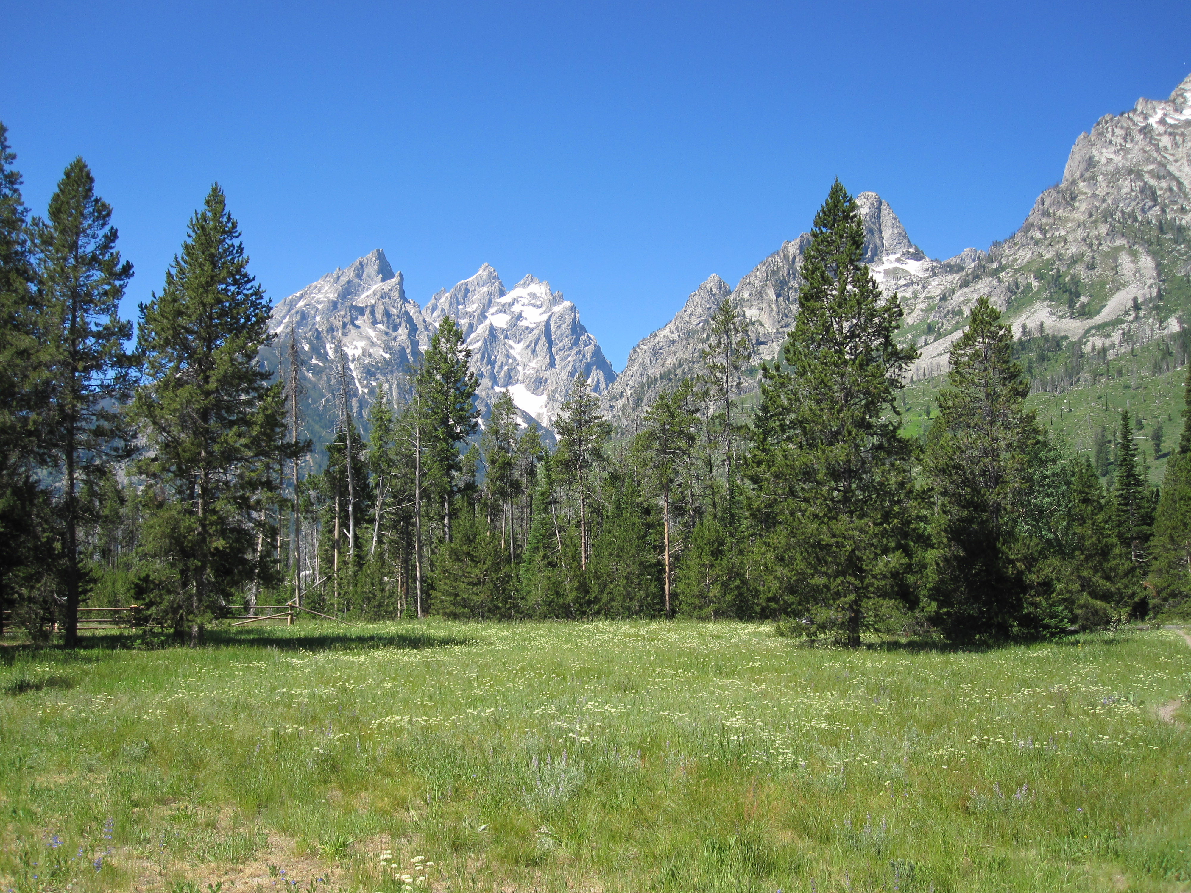 Grand Tetons near Jenny Lake