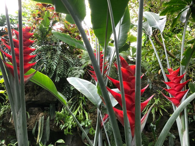 Missouri Botanical Garden