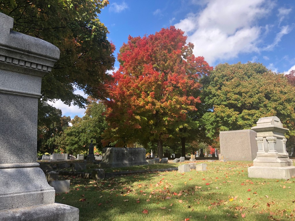 Maple Park Cemetery, Springfield, MO