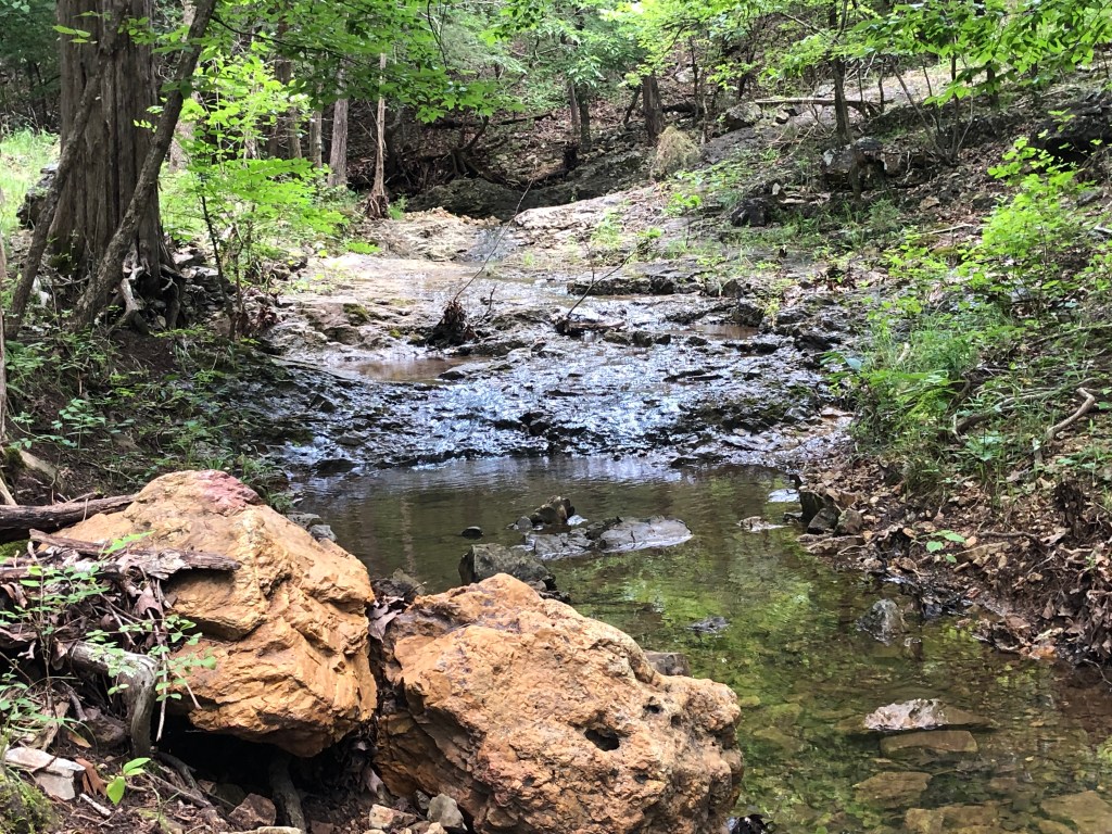 David's Trail at Norfork Lake, AR