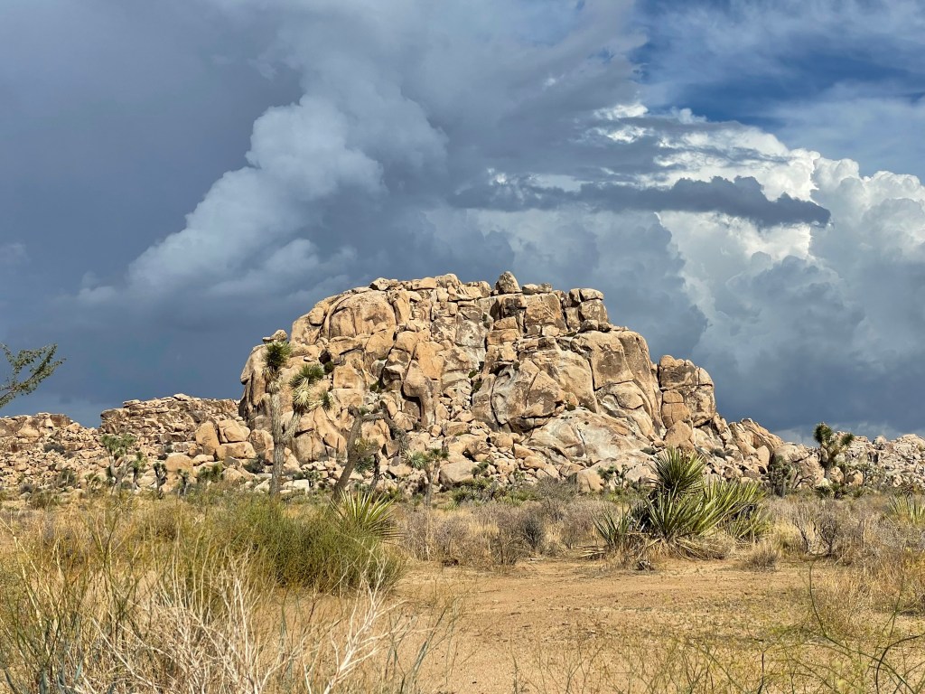 Rock formation at Joshua Tree National Park