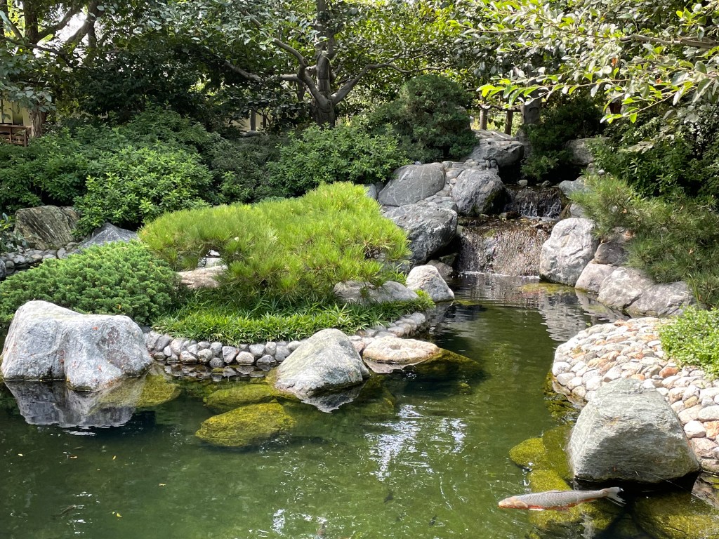 Japanese Friendship Garden, San Diego