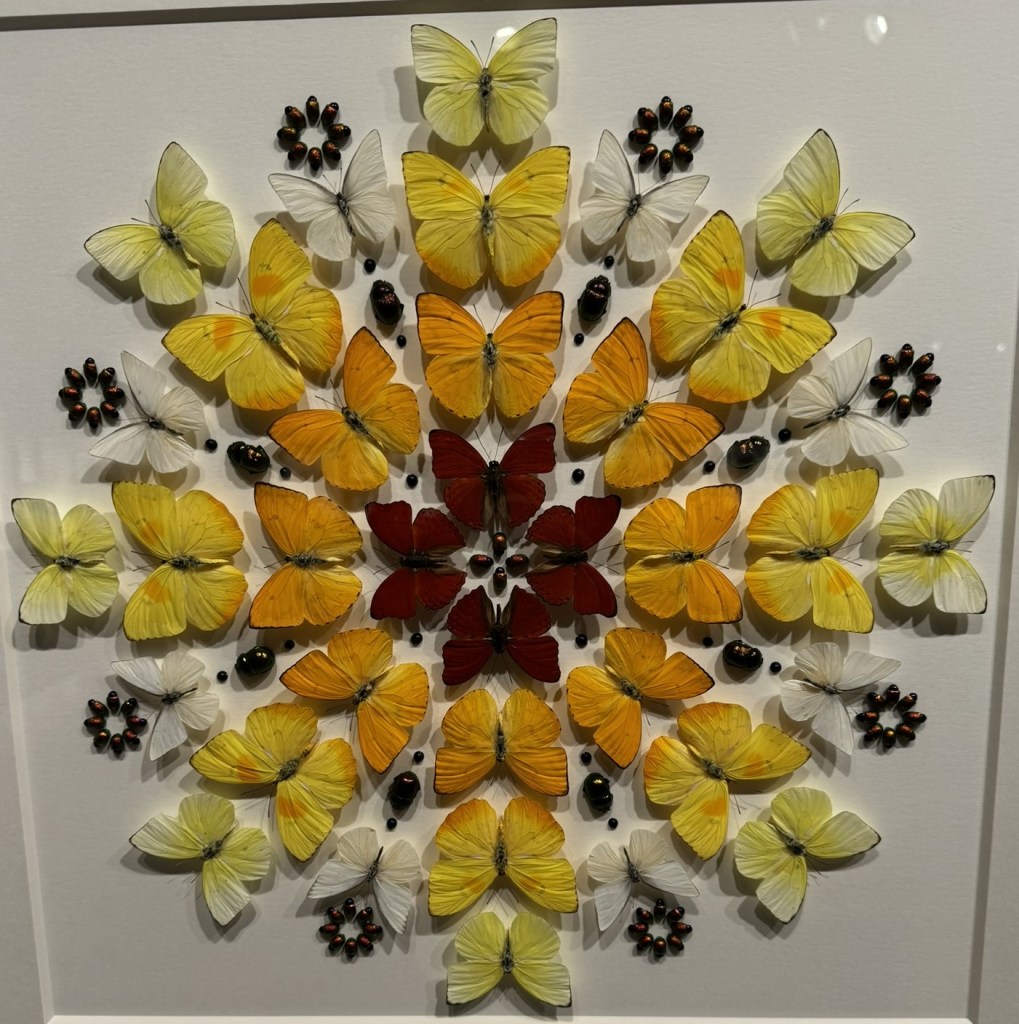 Exquisite Creatures Exhibit at Crystal Bridges Museum