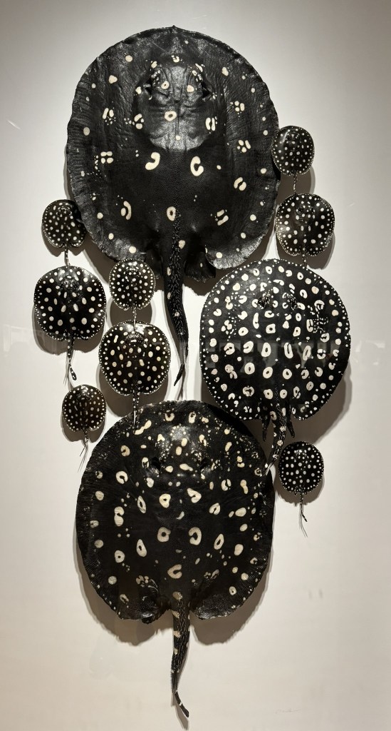 Exquisite Creatures Exhibit at Crystal Bridges Museum