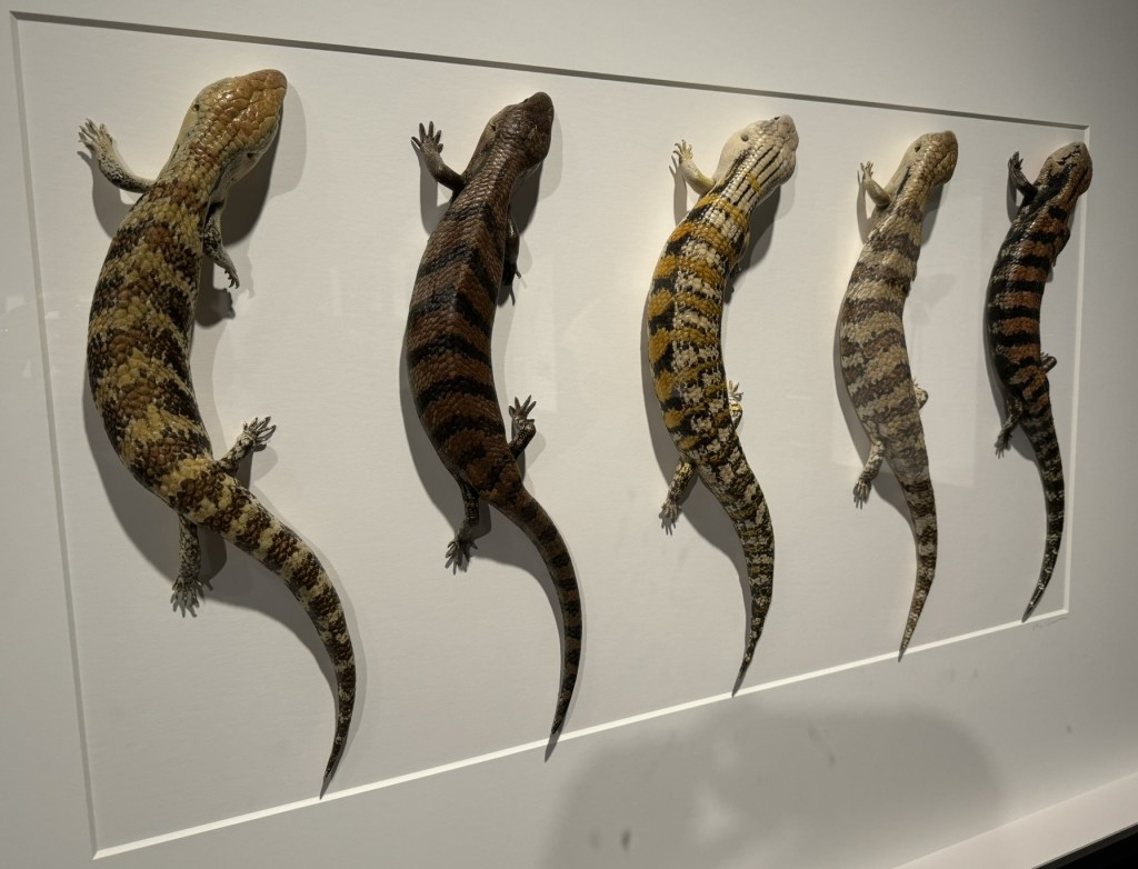 Exquisite Creatures Exhibit at Crystal Bridges Museum