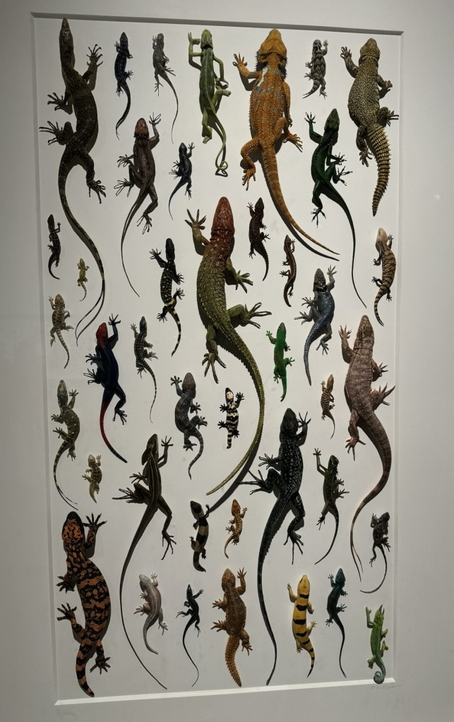 Exquisite Creatures Exhibit at Crystal Bridges Museum