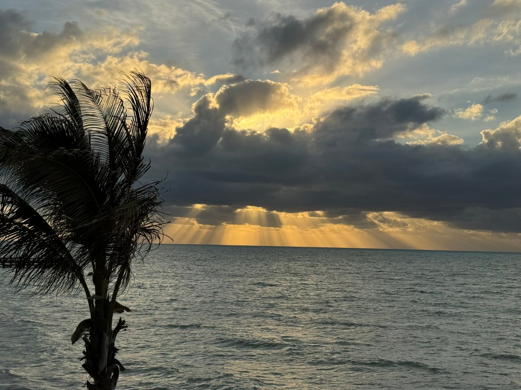 Key West sunrise from Southernmost Resort