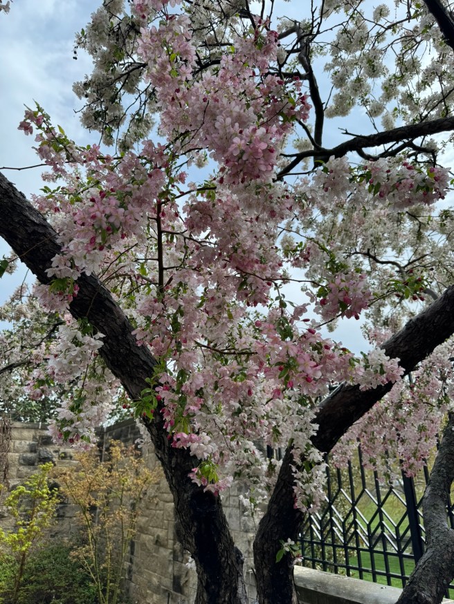 Ewing and Muriel Kauffman Memorial Garden, Kansas City, MO