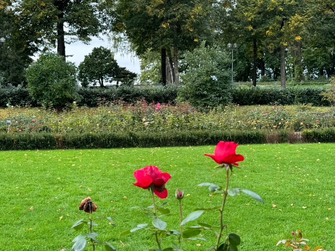 Rosengarten in Bern, Switzerland