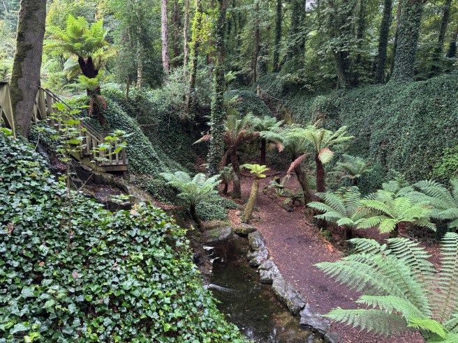 Blarney Castle grounds
