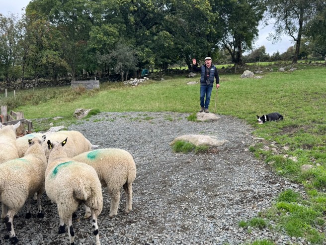 Cullen Sheep Farm