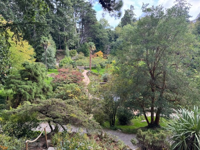 Powerscourt Japanese Garden